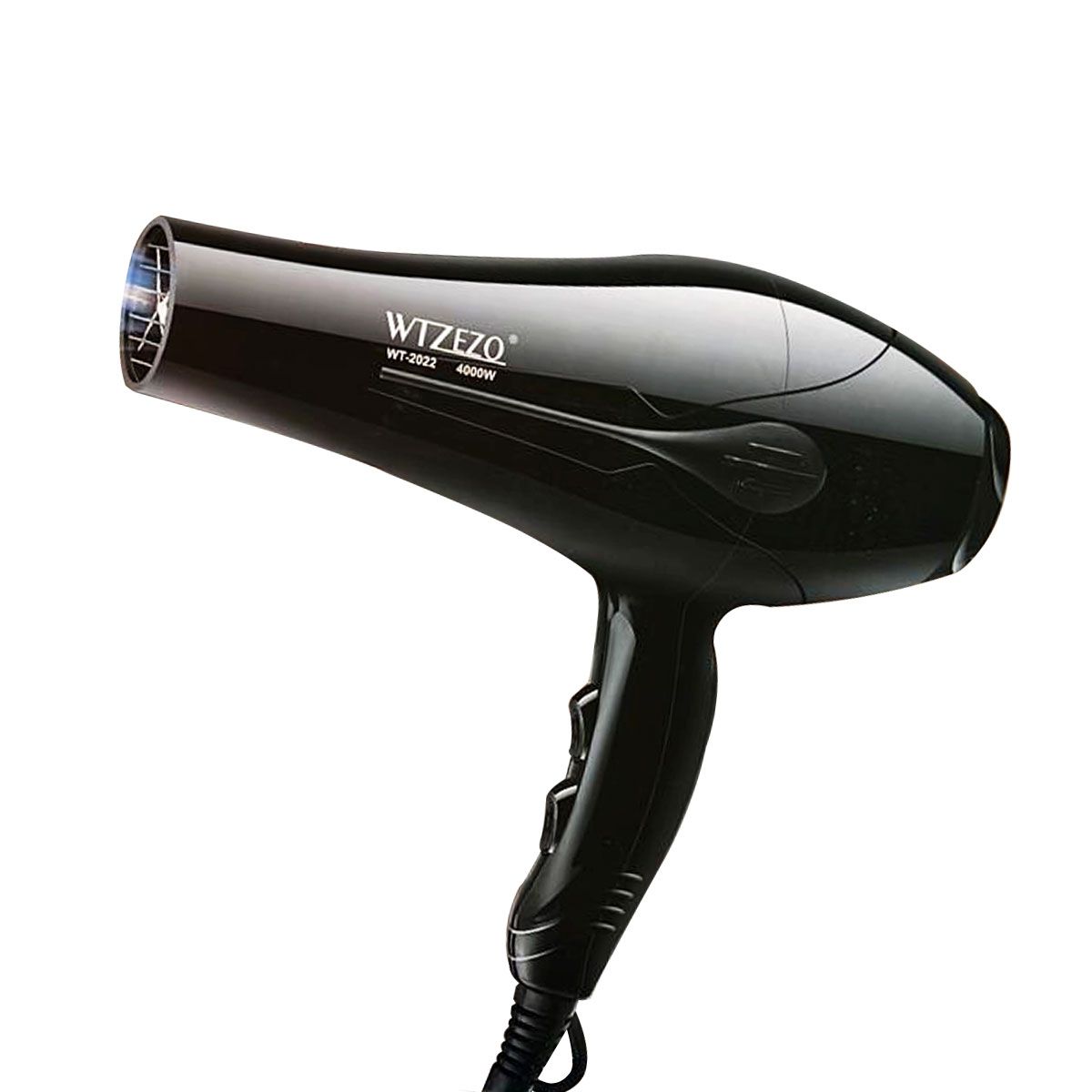 Electric Hair Dryer For Men And Women, Professional Blow Dryer - WTZEZO WT-2022 - Fabvariety